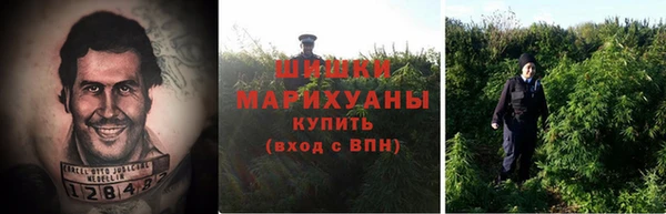 ALPHA PVP Гусь-Хрустальный
